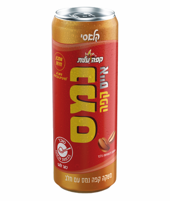 פחית נמס ICE