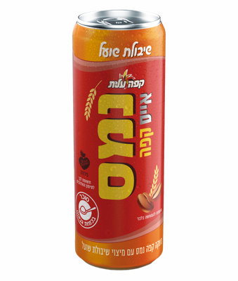 פחית נמס ICE