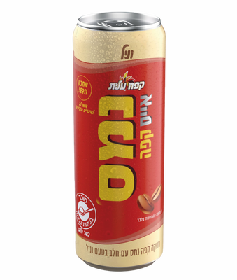 פחית נמס ICE